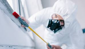 Best Pest Control for Warehouses  in Battle Creek, MI